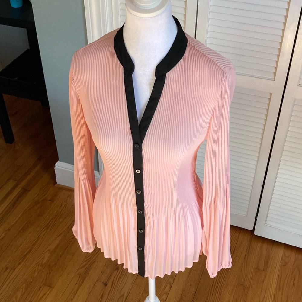 Pleated Sheer Button-Up long sleeved Blouse - Picture 8 of 8